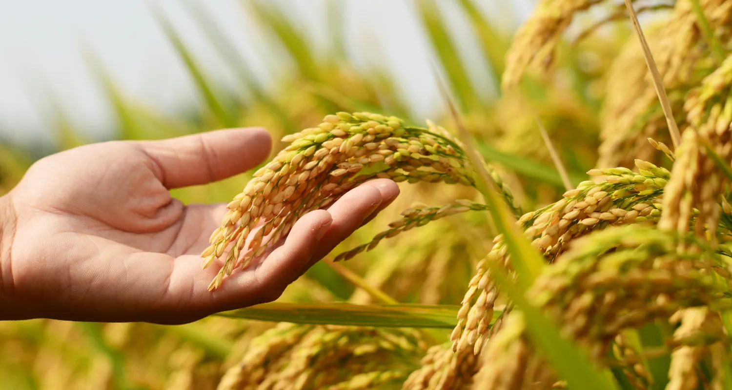 Innovations in sustainable crop protection: genetics, seeds and biologics
