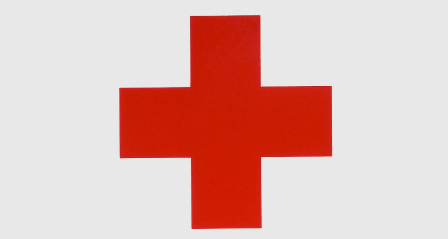 New Zealand Red Cross – re-shaping its leadership trajectory through executive search